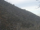 photo thumbnail #14