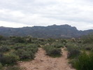 photo thumbnail #1