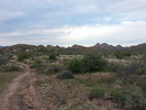 photo thumbnail #3