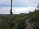 photo thumbnail #4
