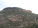 recent photo