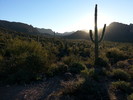 photo thumbnail #4