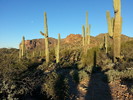 photo thumbnail #5