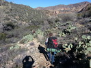 photo thumbnail #13