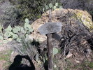 photo thumbnail #15