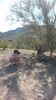 photo thumbnail #4