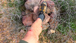 photo thumbnail #4