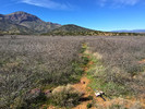 photo thumbnail #5