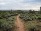 photo thumbnail #3