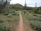 photo thumbnail #4
