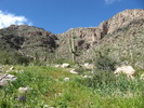 photo thumbnail #3