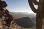 photo thumbnail #4