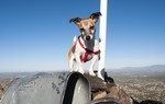 photo thumbnail #8