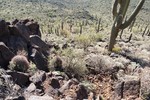 photo thumbnail #11
