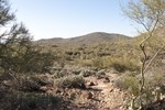 photo thumbnail #12