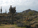 photo thumbnail #2