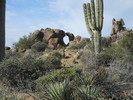 photo thumbnail #3