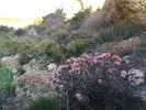 photo thumbnail #9