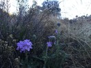 photo thumbnail #13