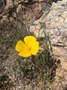 photo thumbnail #15