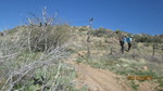 photo thumbnail #11