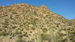 photo thumbnail #2