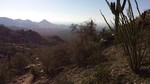 photo thumbnail #4