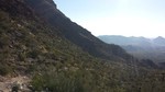 photo thumbnail #13