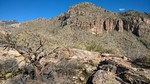 photo thumbnail #4