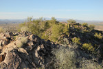 photo thumbnail #1