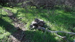 photo thumbnail #7