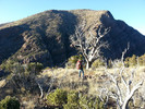 photo thumbnail #4