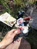 photo thumbnail #10