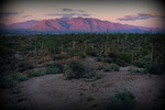 photo thumbnail #5