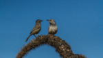 photo thumbnail #11