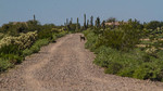 photo thumbnail #14