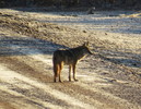 photo thumbnail #5