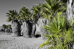 photo thumbnail #11