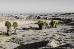 photo thumbnail #14