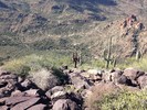 photo thumbnail #5
