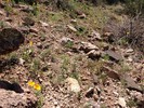 photo thumbnail #14