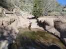 photo thumbnail #9