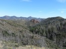 photo thumbnail #14
