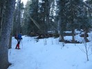 photo thumbnail #3