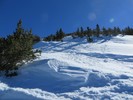 photo thumbnail #9