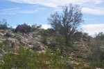photo thumbnail #4