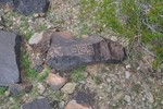 photo thumbnail #6