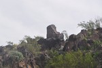 photo thumbnail #9