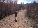 photo thumbnail #1