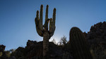 photo thumbnail #8